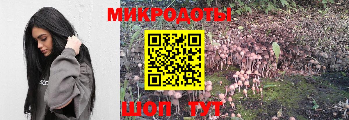 купить   Вход с VPN  Димитровград  Псилоцибиновые грибы ЛСД 