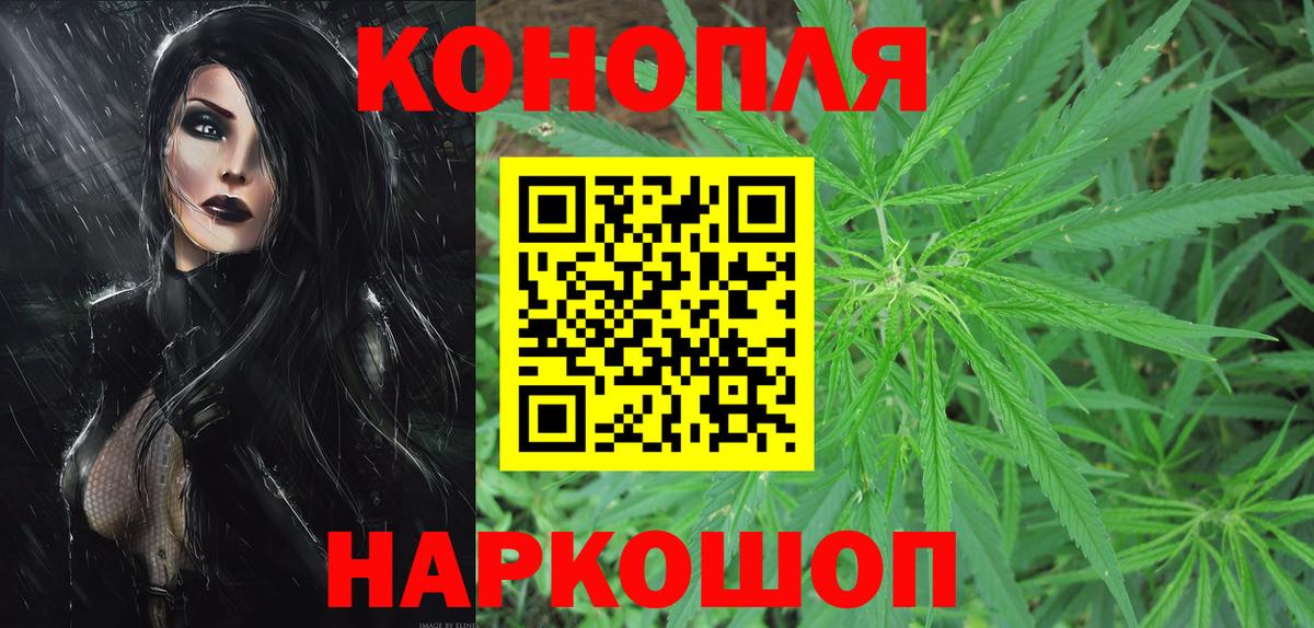 Канабис планчик Димитровград